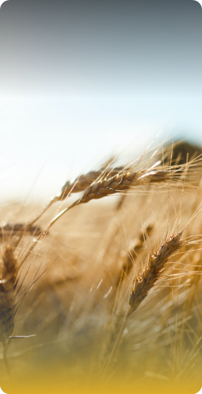 Agriculture
