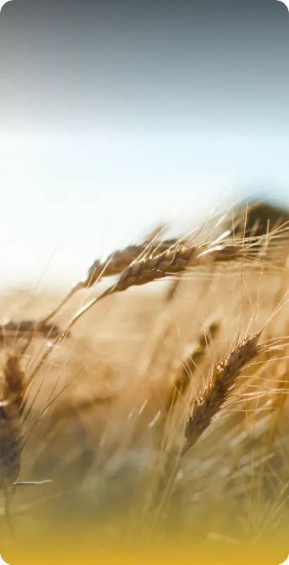 Agriculture