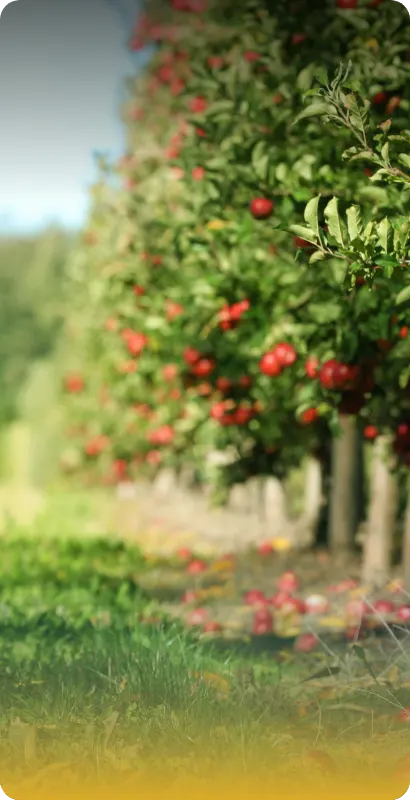 Cannabis & Horticulture